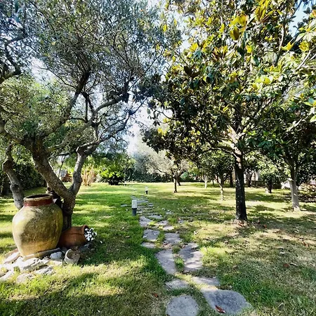 Bed & Breakfast Borgo Camicia In