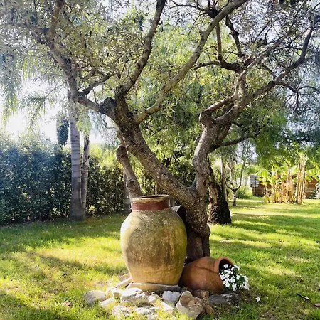 Bed & Breakfast Borgo Camicia In 4*